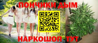 шишки Сланцы