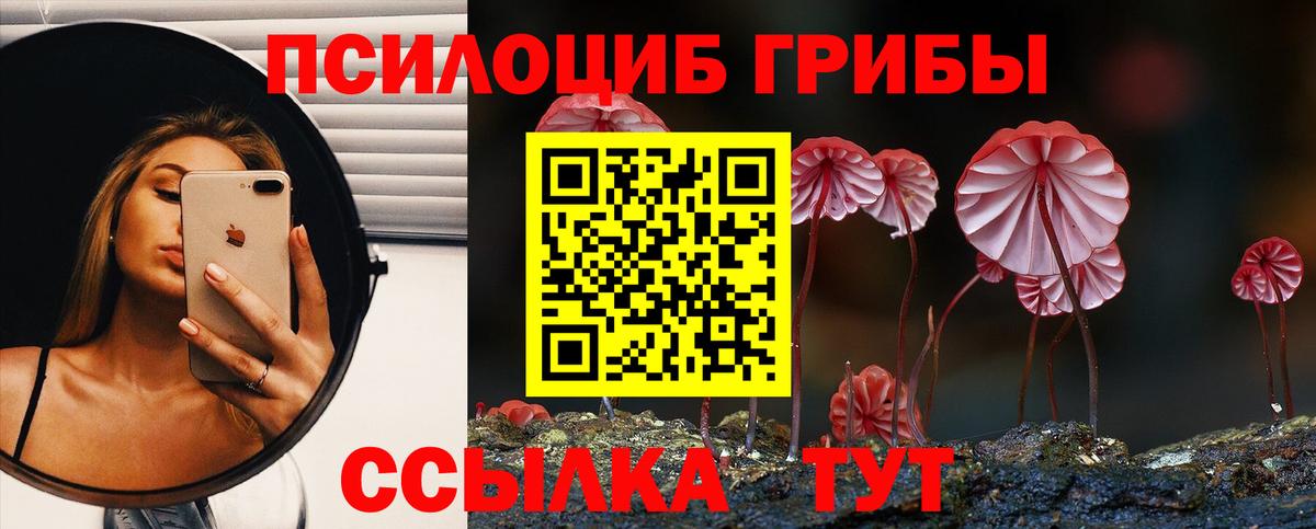 Псилоцибиновые грибы Cubensis  Вход с VPN  Подольск  купить наркотики цена  Галлюциногенные грибы ЛСД 