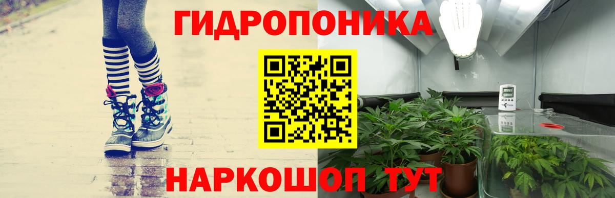 Подольск  Канабис семена  Канабис семена  Вход с VPN  МАРИХУАНА марихуана  Конопля Bruce Banner 